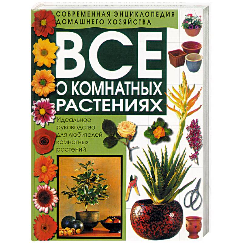 Все о комнатных растениях