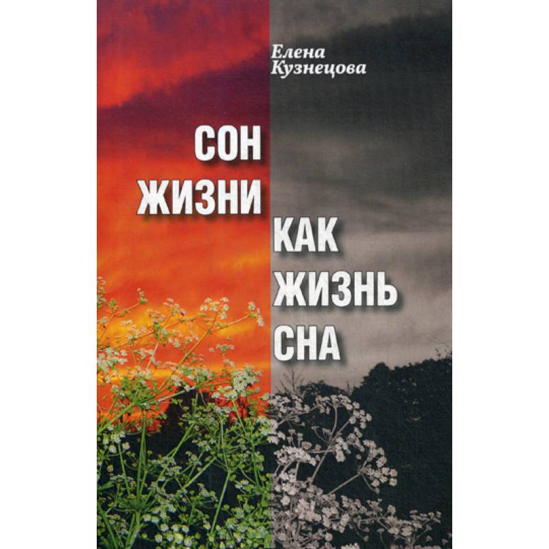 Жизнь с ну. Жизнь во сне книга. Жизнь как сон книга. Жизнь это сон. Жизнь без сна.