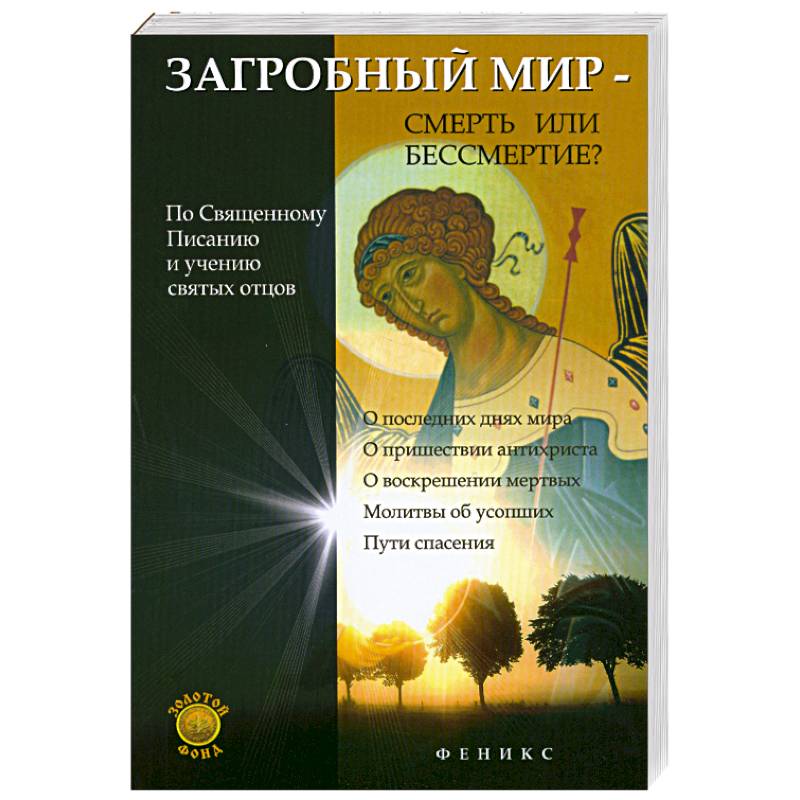 Умирающий мир книга. Книга о загробном мире. Книга загробный мир. Книжка загробный мир православного. Книга о загробном мире с иллюстрациями.