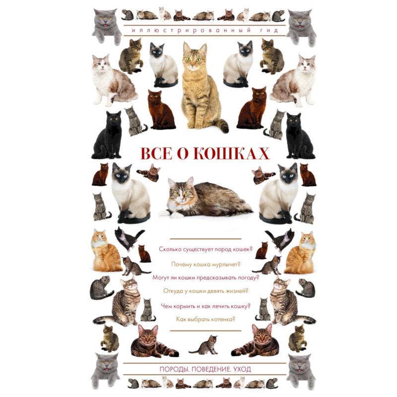 Все о кошках. Иллюстрированный гид