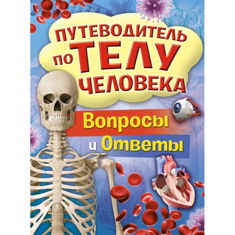 Путеводитель по телу человека.Вопросы и ответы