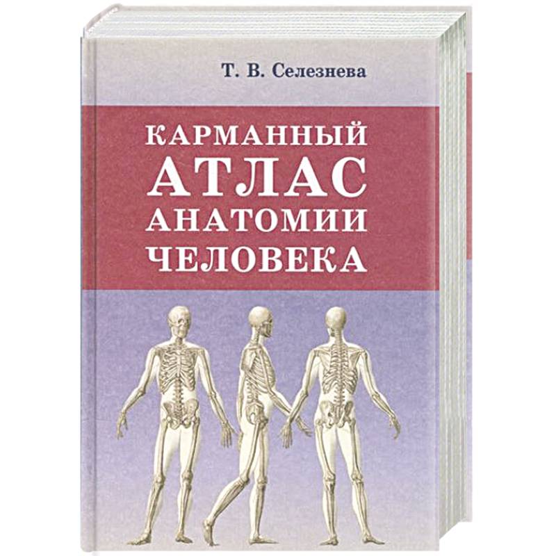 Атлас Анатомии Человека Курепина Воккен Купить