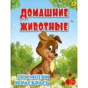 Домашние животные. Детская раскраска