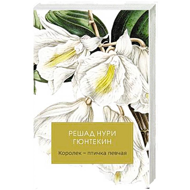 Королек - птичка певчая