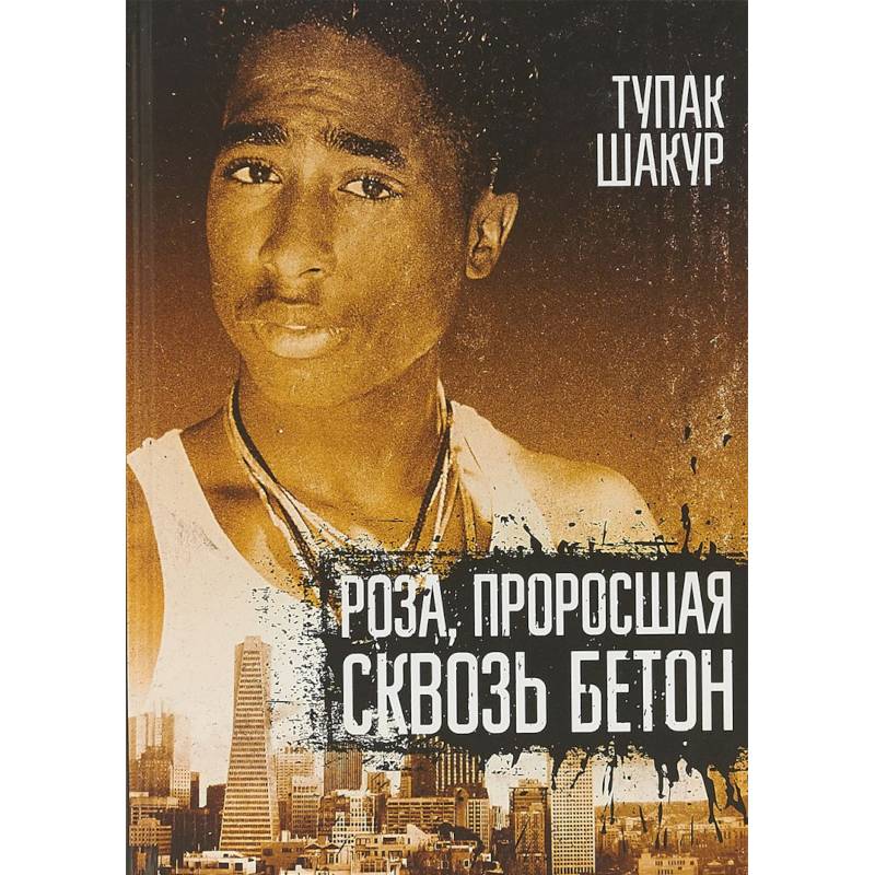 Роза, проросшая сквозь бетон