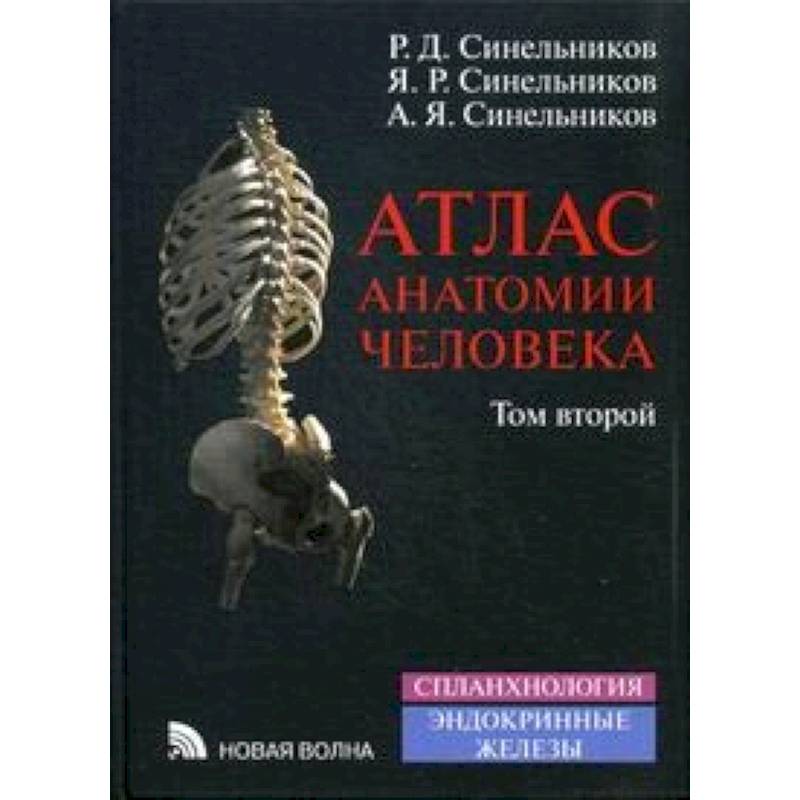 Анатомия в 2 томах. Атлас по анатомии Синельников 4 том. Атлас анатомии Синельников 2021. Атлас анатомии человека - том 2 - Синельников р.д., Синельников я.р.. Синельников анатомия человека.