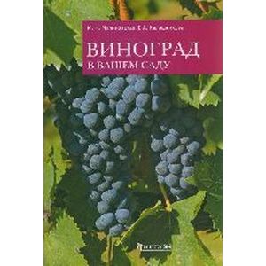 Виноград в вашем саду