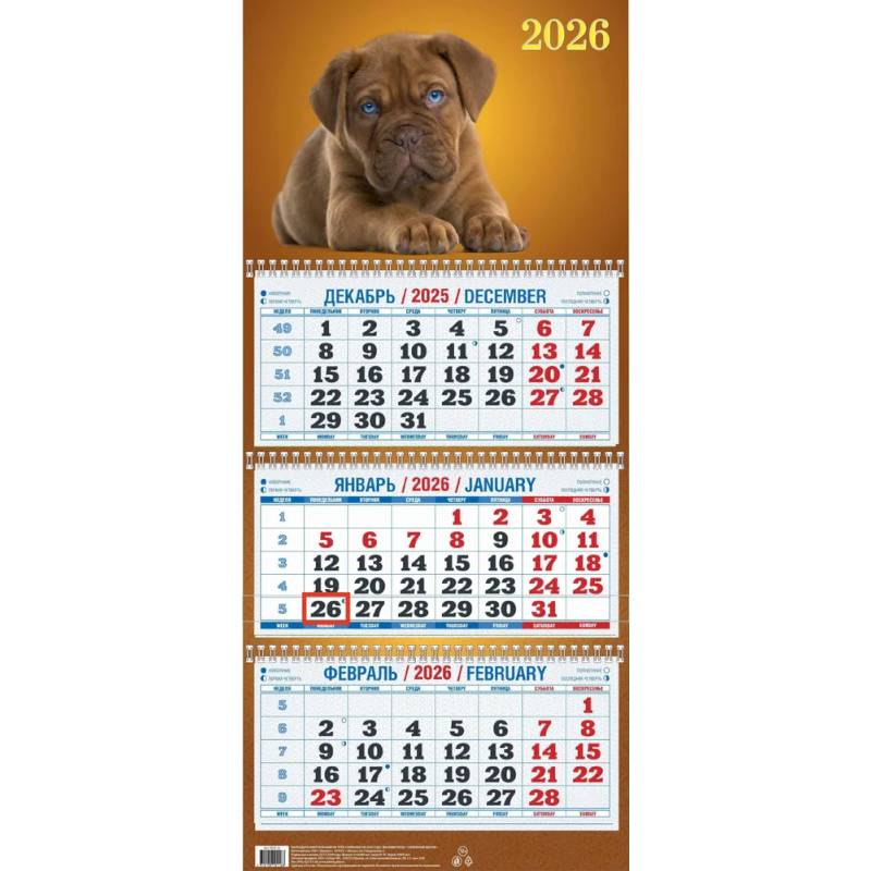 Календарь 2026г. Забавный щенок