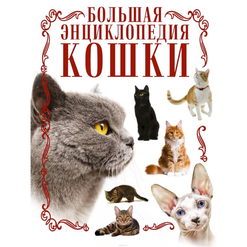 Кошки. Большая энциклопедия
