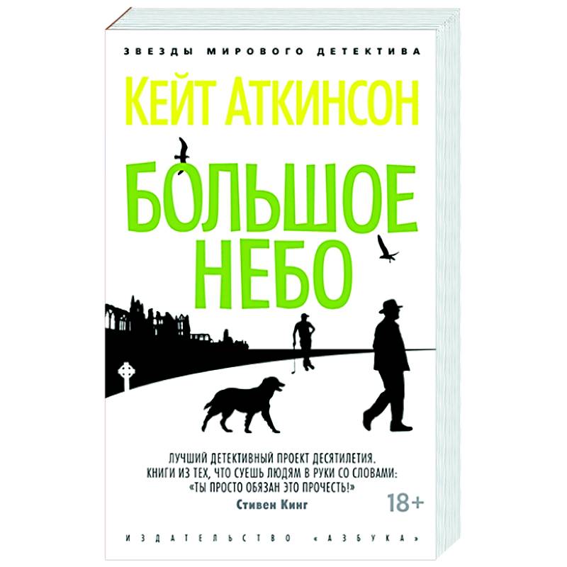 Большое небо