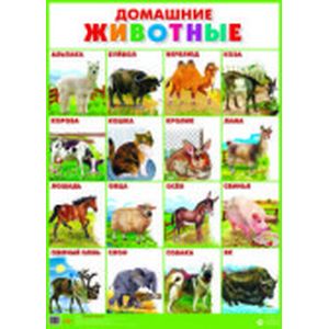 Домашние животные