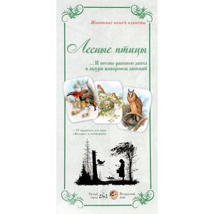 Животный мир 'Лесные птицы. И песню раннюю...' Животный мир 'Лесные птицы. И песню раннюю...'