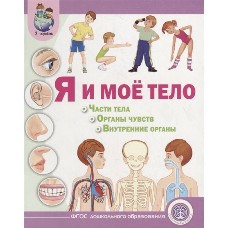 Я и моё тело. Части тела. Органы чувств. Внутренние органы Я и моё тело. Части тела. Органы чувств. Внутренние органы