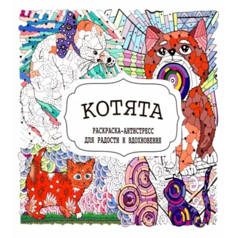 Котята Котята