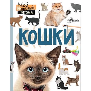 Кошки