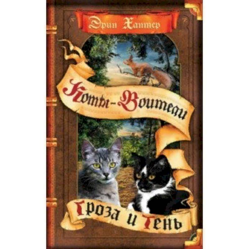 Гроза и тень