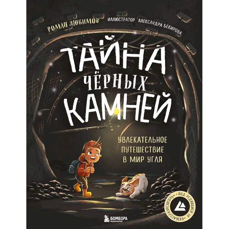 Тайна чёрных камней. Увлекательное путешествие в мир угля