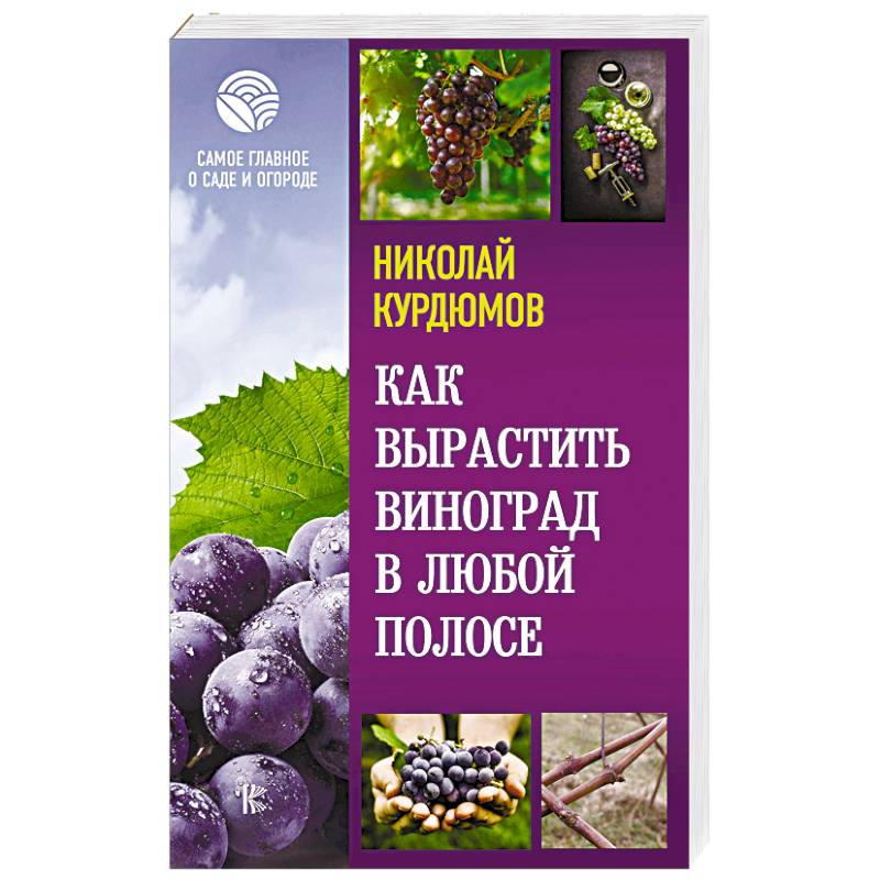 Как вырастить виноград в любой полосе