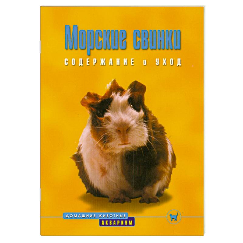Морские свинки. Содержание и уход