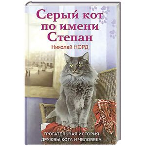 Серый кот по имени Степан. Трогательная история дружбы кота и человека