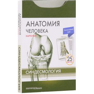 Анатомия человека. Синдесмология (набор из 25 карточек)