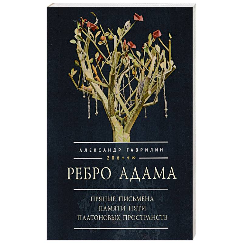 Ребро Адама. Пряные письмена памяти пяти Платоновых пространств
