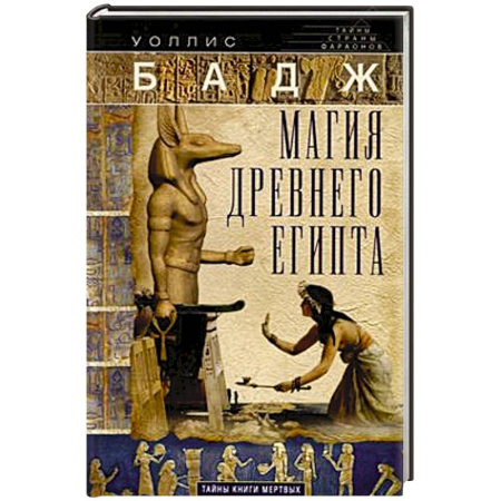 Всемирная история, книга Магия Древнего Египта. Тайны Книги мертвых купить по скидке