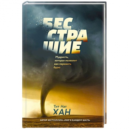 Другие духовные практики, книга Бесстрашие. Мудрость, которая позволит вам пережить бурю купить по скидке