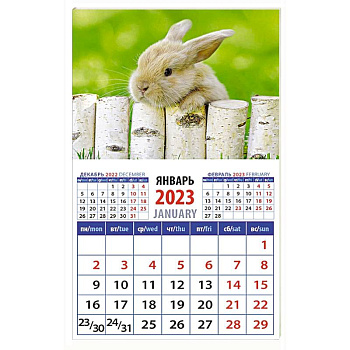 Календарь Год кролика. Обаятельный малыш на 2023 год