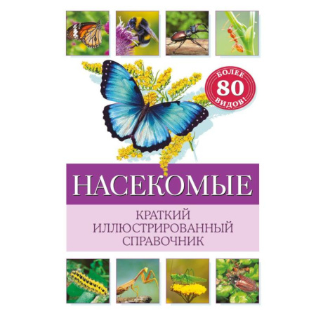 Природоведение. Окружающий мир, книга Насекомые. Краткий иллюстрированный справочник купить по скидке