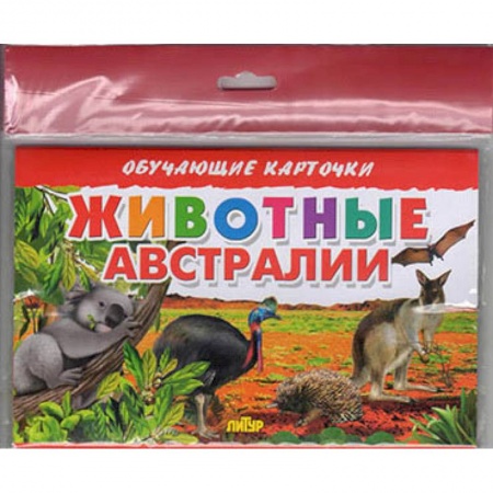 Животный и растительный мир, книга Животные Австралии купить по скидке