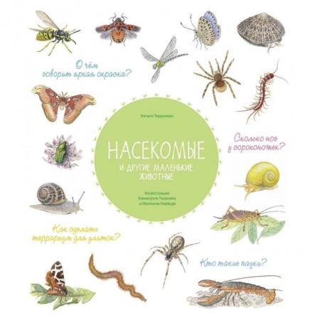 Животный и растительный мир, книга Насекомые и другие маленькие животные купить по скидке