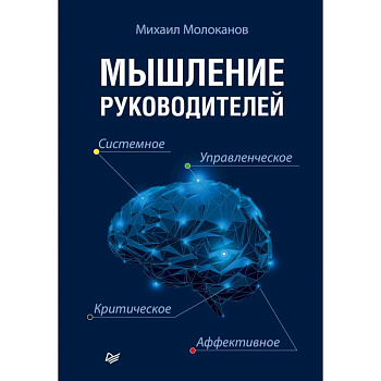 Мышление руководителей. Системное, управленческое, критическое, аффективное