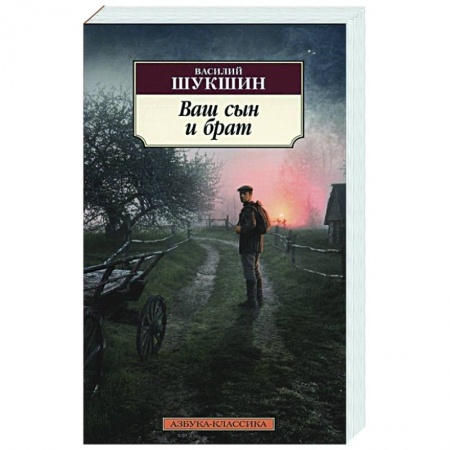 Классическая художественная проза, книга Ваш сын и брат купить по скидке
