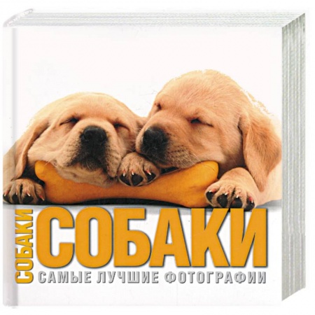 Книги, книга Собаки. Самые лучшие фотографии купить по скидке