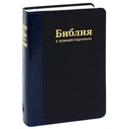 Библия. Книги Священного Писания Ветхого и Нового Завета, книга Библия с коментариями купить по скидке