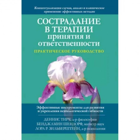 Психология отношений, книга Сострадание в терапии принятия и ответственности. Практическое руководство купить по скидке