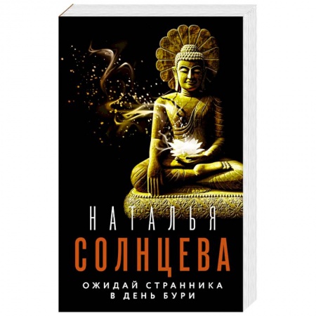 Отечественный женский детектив, книга Ожидай странника в день бури купить по скидке