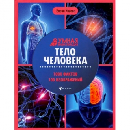 Человек. Земля. Вселенная, книга Тело человека: энциклопедия купить по скидке