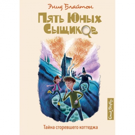 Приключения. Детективы, книга Тайна сгоревшего коттеджа купить по скидке