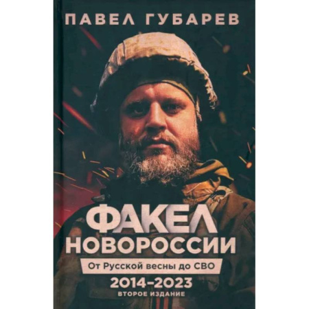 Новая и новейшая история, книга Факел Новороссии. От Русской Весны до СВО. 2014-2023 купить по скидке