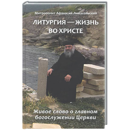 Духовная литература, книга Литургия - жизнь во Христе купить по скидке