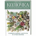 Кактусы. Суккуленты