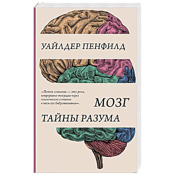 Мозг. Тайны разума