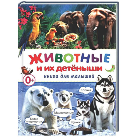 Животный и растительный мир, книга Животные и их детеныши. Книга для малышей купить по скидке