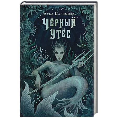 Русское фэнтези, книга Чёрный утёс купить по скидке