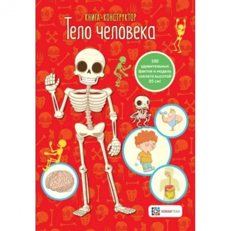 Познавательная литература, книга Тело человека.  Книга - конструктор купить по скидке