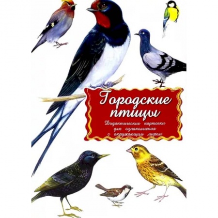Животный и растительный мир, книга Дидактические карточки. Городские птицы купить по скидке