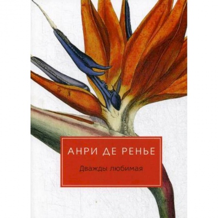 Зарубежная современная проза, книга Дважды любимая купить по скидке