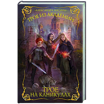 Трое из академии. Трое на каникулах